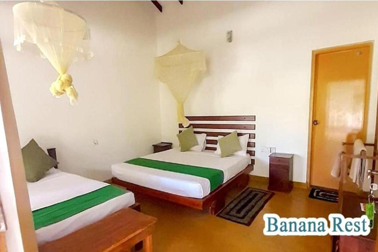 Banana Rest Bed and Breakfast Sigiriya Exterior foto